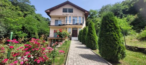Orsova House | Enjoy Family Comfort at Casa Patryk - Rated 9.6/10
