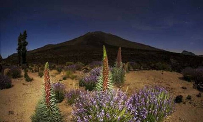 El Tanque Cottage | CASA PAUCA: Breathtaking Mount Teide Views Await You