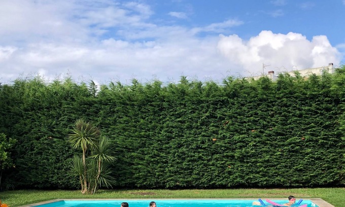 Viana do Castelo Cottage | Casa Pedro and Inês - Cozy Getaway on the Green Coast