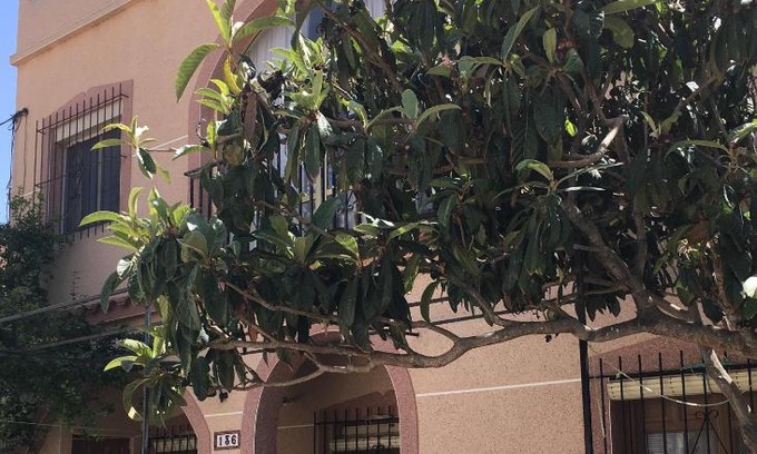 San Fulgencio Bed & Breakfast | Pet-Friendly Escape at Casa Phoenix Bed & Breakfast