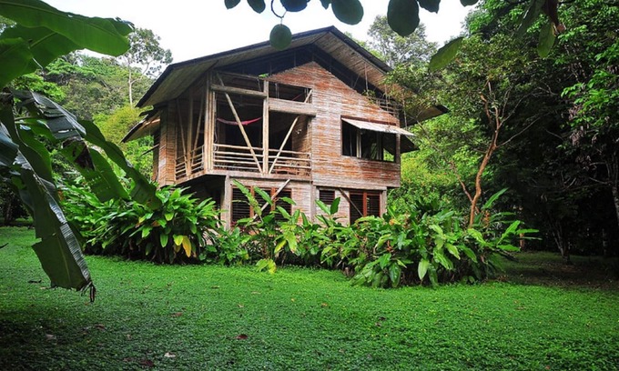 Cabo Matapalo House | Relaxing Stay at Casa Piña: Beach House in the Rainforest