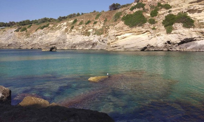 Specchia House | Idyllic Casa Pietrina 1838: Pet-Friendly & Green Retreat