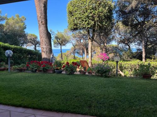 Quercianella Apartment | Pet-Friendly Retreat at Casa Quercia - Rated 8.9/10