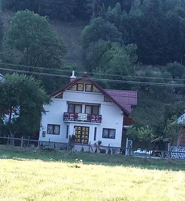 Vidra House | Top-Rated Casa Rares Toc with Pool & Child-Friendly Fun