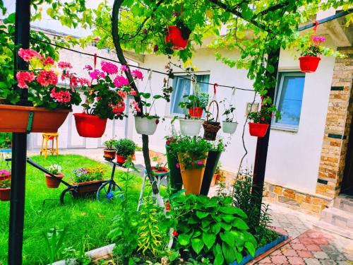 Vama Veche House | Family-Friendly Stay at Casa Razvan Vama Veche - Rated 9/10