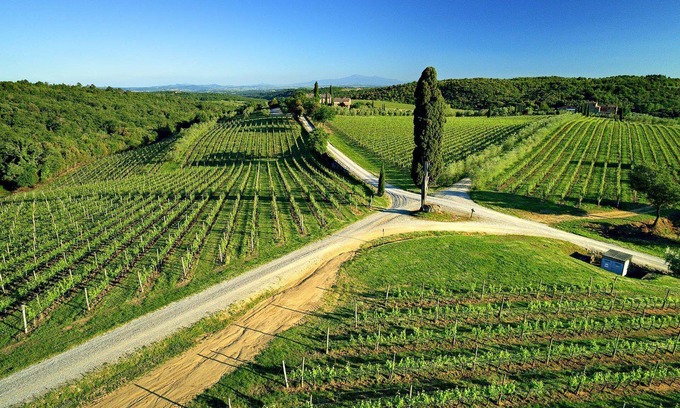 Castelnuovo Berardenga Apartment | Casa Rossella: Romantic Retreat with Pool in Chianti