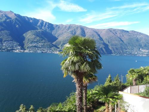 Pino Lago Maggiore Apartment | Casa Roccia