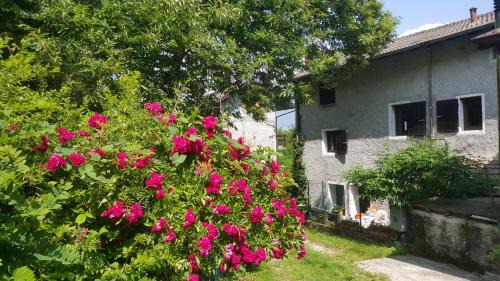 Delebio House | Welcoming Casa Ronit: Pet-Friendly and Family-Approved Stay