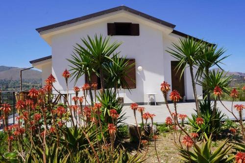 Misilmeri Villa | Discover Casa Rosalia: A Pet-Friendly Retreat
