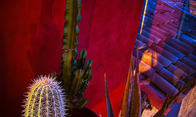Signes House | Experience CASA ROSSA: Gite for 4 Near Circuit du Castellet