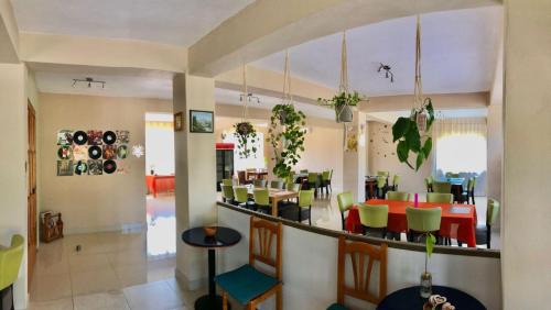 Baile Felix House | Casa Roua: Guest Rated 10/10, Family & Pet Friendly Retreat