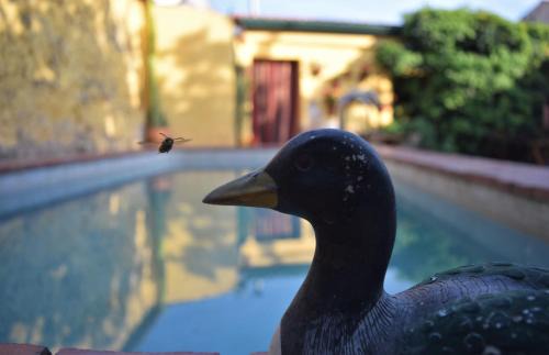 Don Alvaro House | Experience Casa Rural Don Álvaro de Luna: Rated 9/10