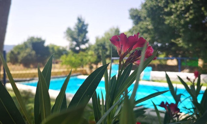 Yecla House | Discover Casa Rural El Llano Quintanilla with Ocean Views