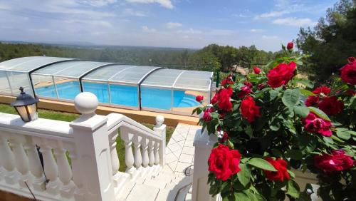 Venta del Moro House | Unique Oceanfront Stay at Casa del Pino Gori, Pet Friendly