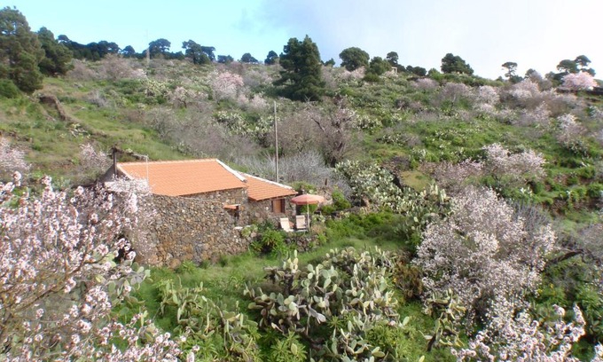 Las Casas House | Pet-Friendly Casa Rural La Jarita with Ocean View Retreat