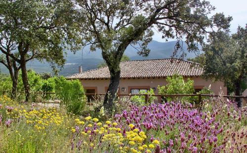 Los Navalucillos House | Discover Casa Rural La Joyona: Rated 9.9, Pet-Friendly Retreat