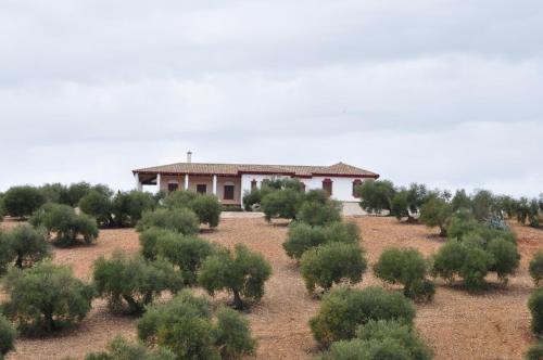 La Carlota House | Discover Casa Rural la Serrana: Family-Friendly Retreat