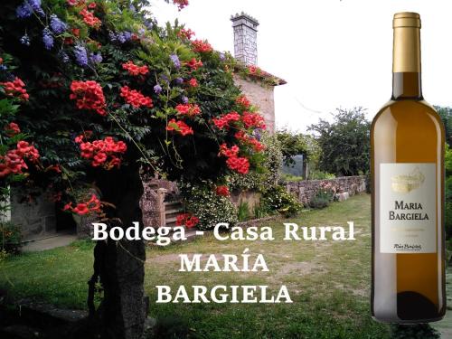 Salvaterra de Mino House | Family-Friendly Retreat at Casa Rural Maria Bargiela