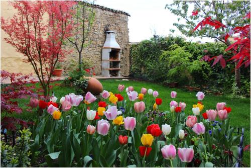 Miranda de Arga House | Pet-Friendly Casa Rural Xixa Landetxea with Ocean Views