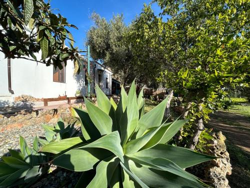 Tertenia House | Family-Friendly Getaway at Casa Sa Brèca Awaits You