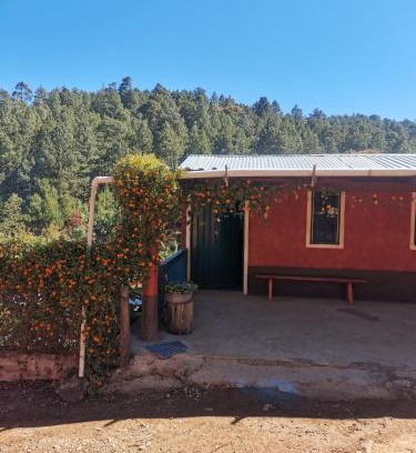 San Sebastian Rio Hondo Apartment | Family-Friendly Stay at Casa Shalom - Pet Welcoming Haven