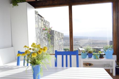 Tabayesco Apartment | Casa SocAire: Oceanfront Relaxation in Nature's Embrace