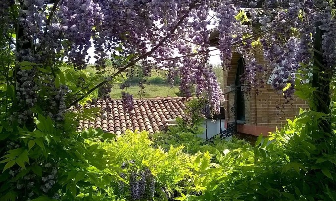 Asti Cottage | Discover Casa Sonny: Cottage in Enchanting Garden Near Asti