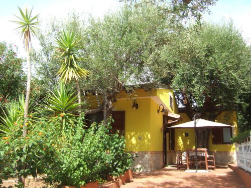 Centola Villa | Perfectly Located Casa Stella in Palinuro - 10/10 Rated