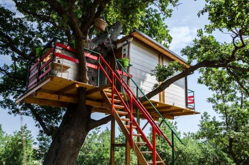 Lentella House | Experience Casa sull'Albero: A Guest-Rated 10/10 Retreat