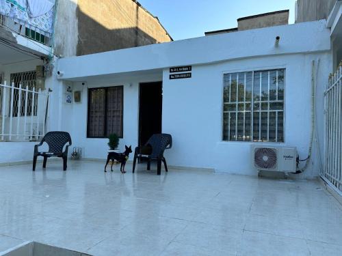 El Bosque House | Pet-Friendly Stay at Casa Tamarielys - Guest Rated 7.5/10