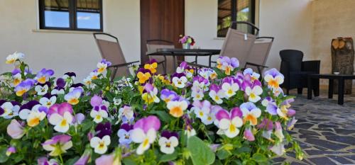 Caltagirone House | Budget-Friendly Stay at Casa Tre Palmi with Breakfast