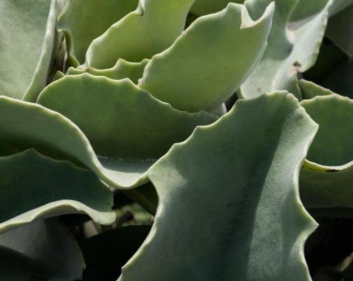 Favignana Apartment | Guest Rated: 9.8 at Casa ulivo Agave in Favignana