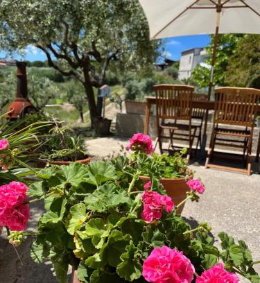 Tortoreto House | Pet-Friendly Casa Vacanze 365 - Verde: Guest Rated 10/10