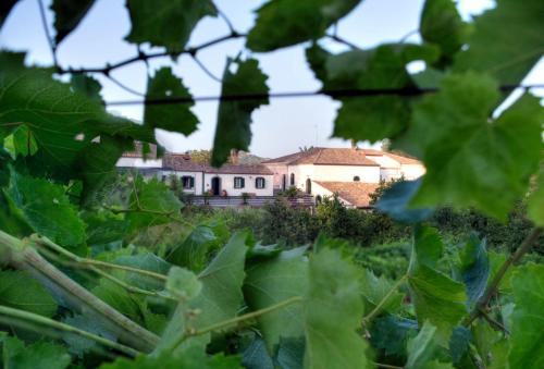 Piedimonte Etneo House | Exceptional Casa Vacanze Etna: Pet-Friendly Retreat Awaits