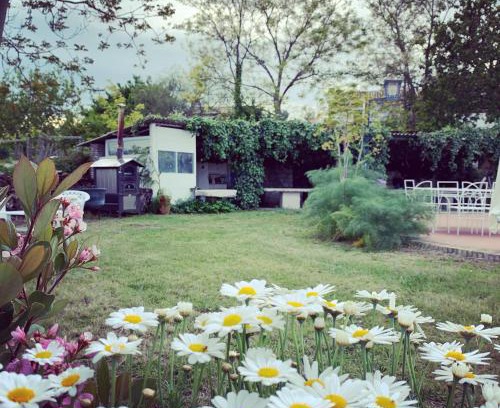 Vasto House | Delightful Casa Vacanze Fattoria Pozzitello with Pool & Pets