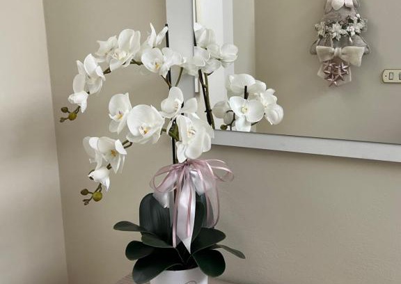 Soci Apartment | Discover Casa Vacanze l'Orchidea: Family-Friendly Getaway