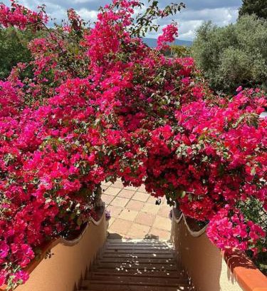 Iglesias Apartment | Family-Friendly Casa Vacanze La Brii with Top Guest Ratings