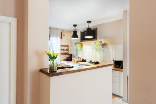 Ercolano Apartment | Unforgettable Vesuvius View: 4-Star, Pet Friendly Retreat