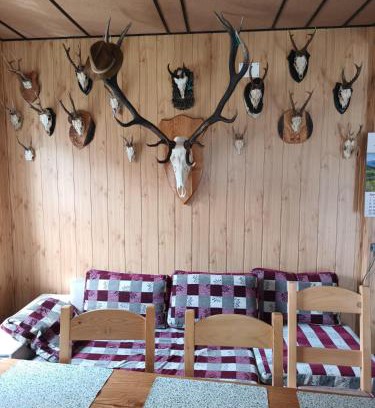 Vama Buzaului House | Child-Friendly Retreat at Casa Vanatorului Buzaiel, 10/10 Rated