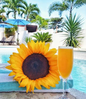 Puntas Hotel | Relax at Casa Verde Hotel with Ocean View & Private Beach