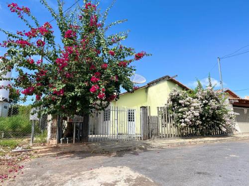 Sao Jose da Barra House | Pet-Friendly Casa Verde: Exceptional Guest Rated Getaway