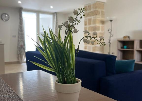 Squinzano House | Casa Vittoria: Guest Rated 9.7 with Family & Pet Amenities