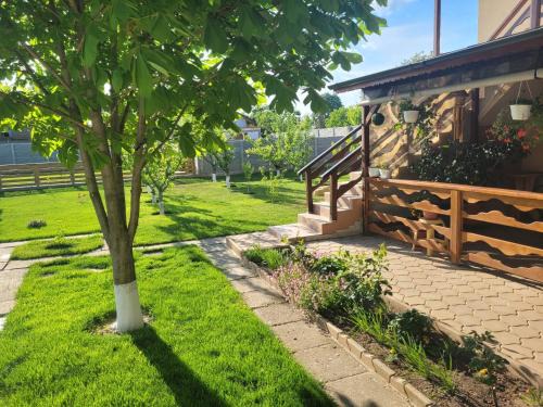 Baia House | Pet-Friendly Casa Viviana: Oceanfront Bliss, Rated 9.8