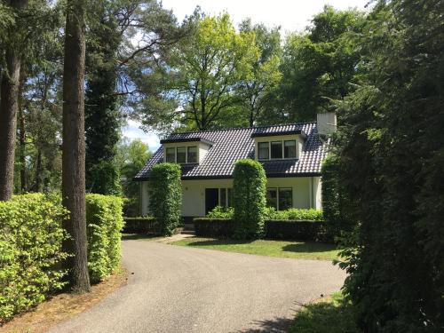 Otterlo House | Experience Casa Vogelenzang: Pet-Friendly with Pool Access