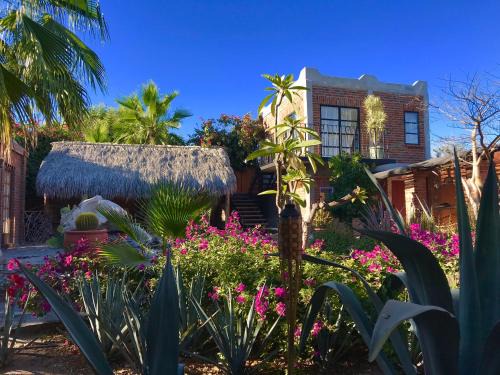 El Centenario Bed & Breakfast | Ideal Retreat at Casa Xochitl with Pool and Hot Tub