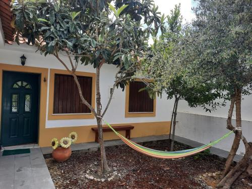 Cabecao House | Casa Zé Actor: Pet-Friendly Retreat with Oceanfront Views