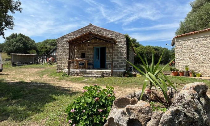 Sa Castangia Apartment | Pet-Friendly Retreat at Casacci with Great Guest Ratings
