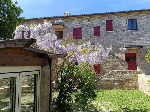 Silvi Marina House | Discover Casale Don Ambrosio: Family & Pet-Friendly Retreat