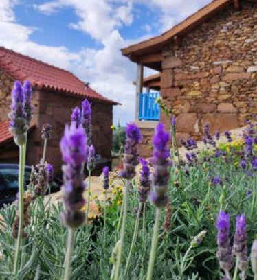 Codecoso House | Top-Rated Casas Coração: Pet-Friendly with Pool & Hot Tub
