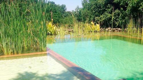Galaroza House | Experience Casas Rurales Camino del Castaño's Oceanfront Charm